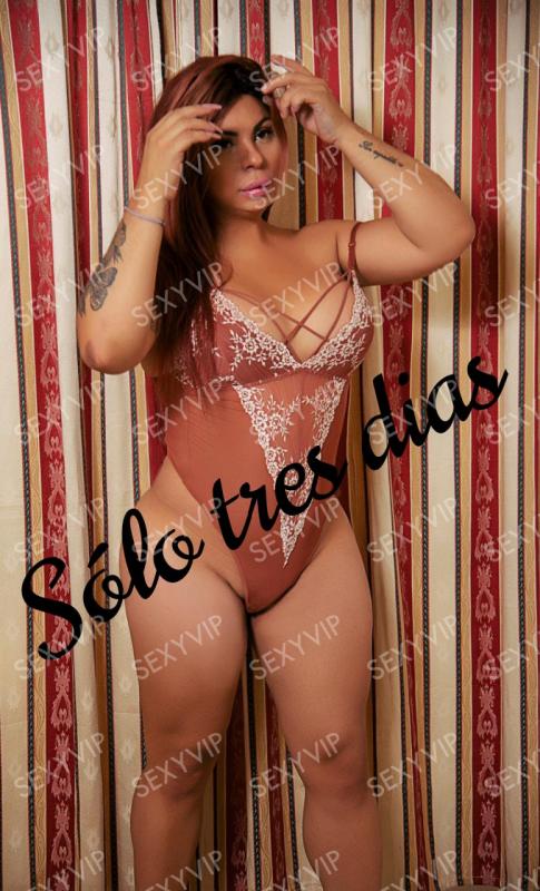 SABRINA ARDIENTE  TRANS